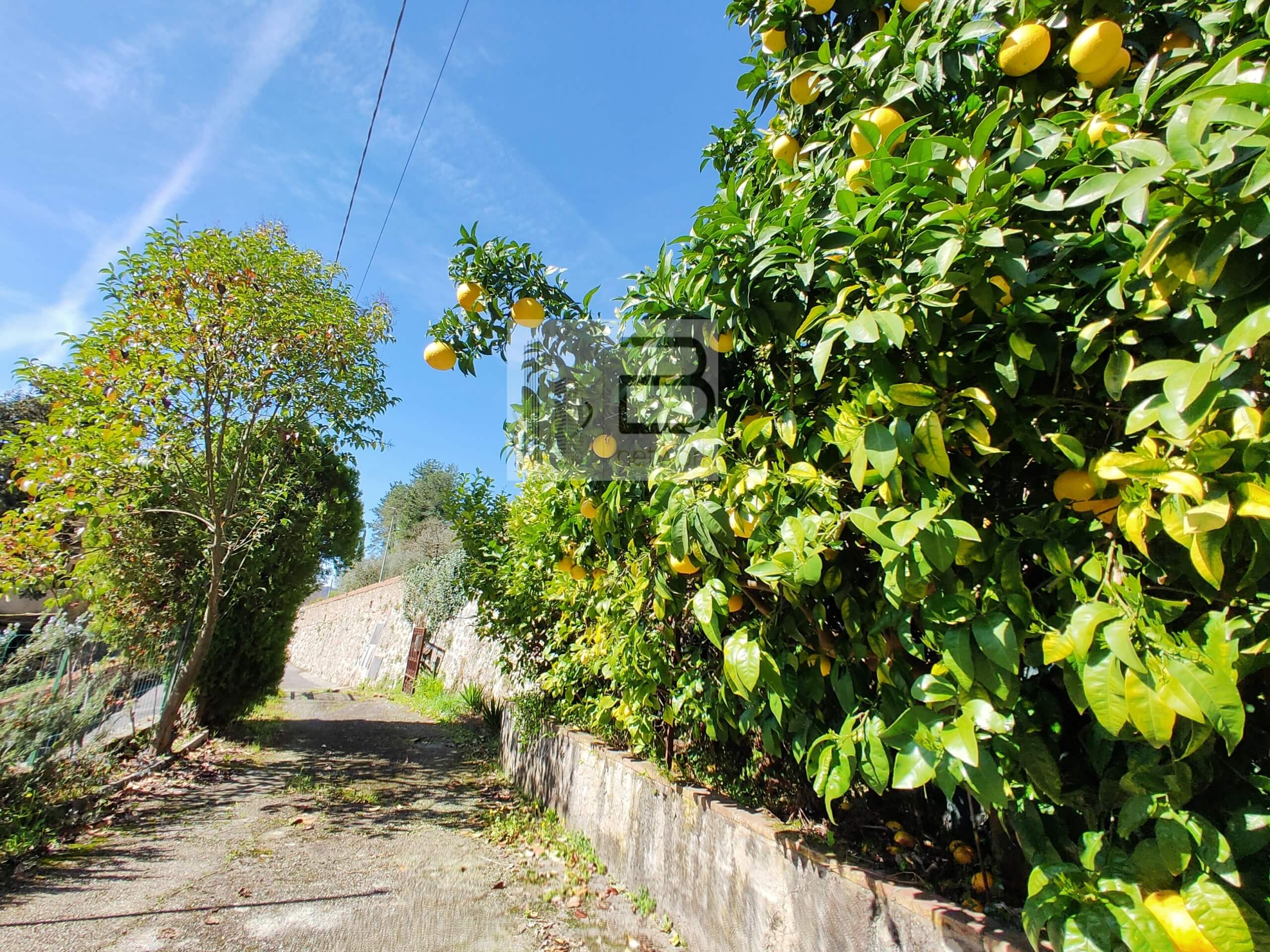 esterno