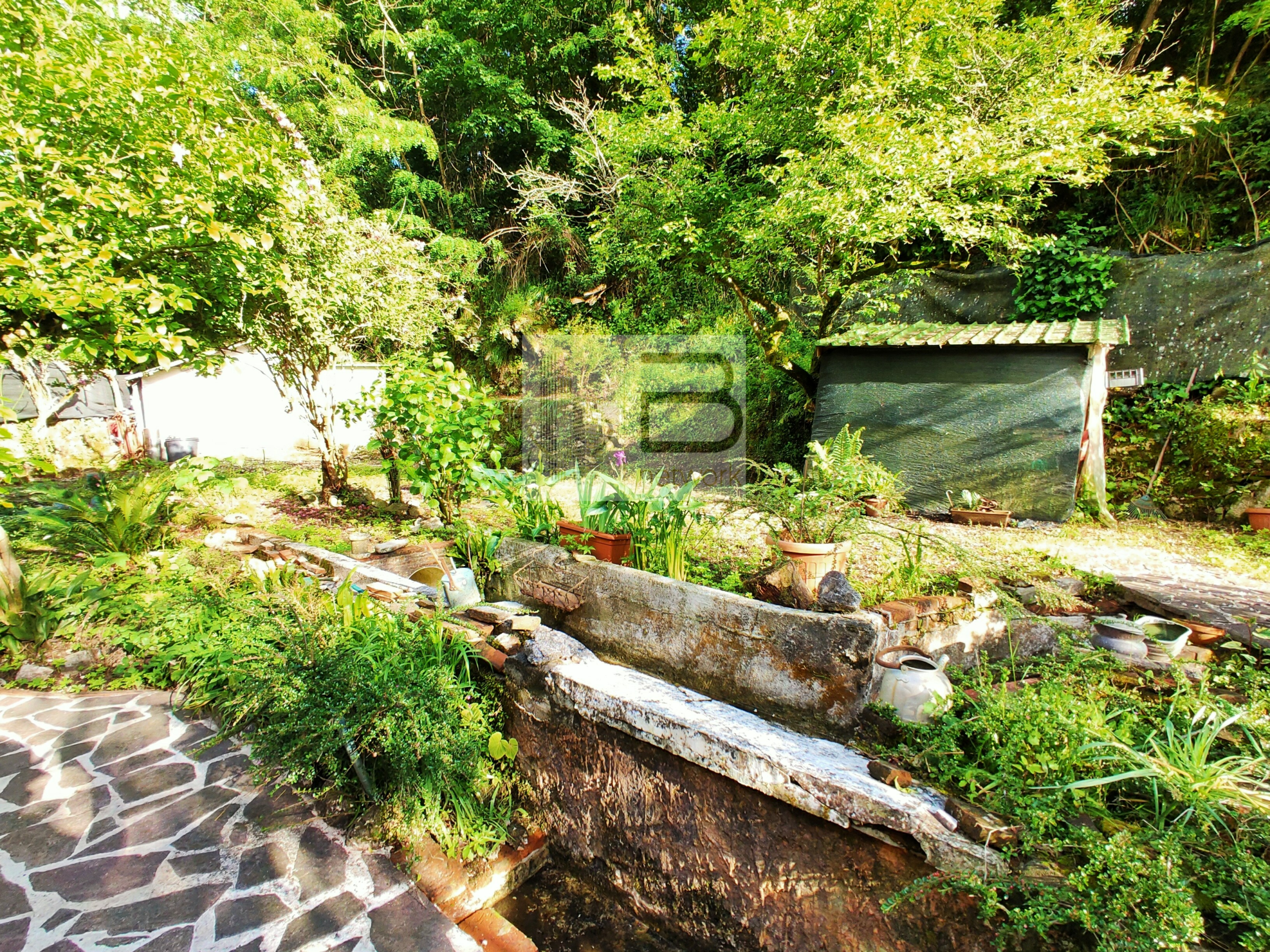 GIARDINO