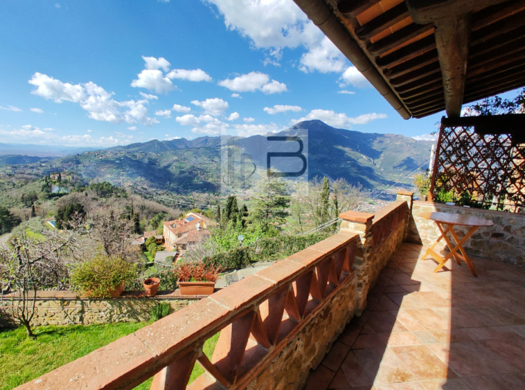 TERRAZZA