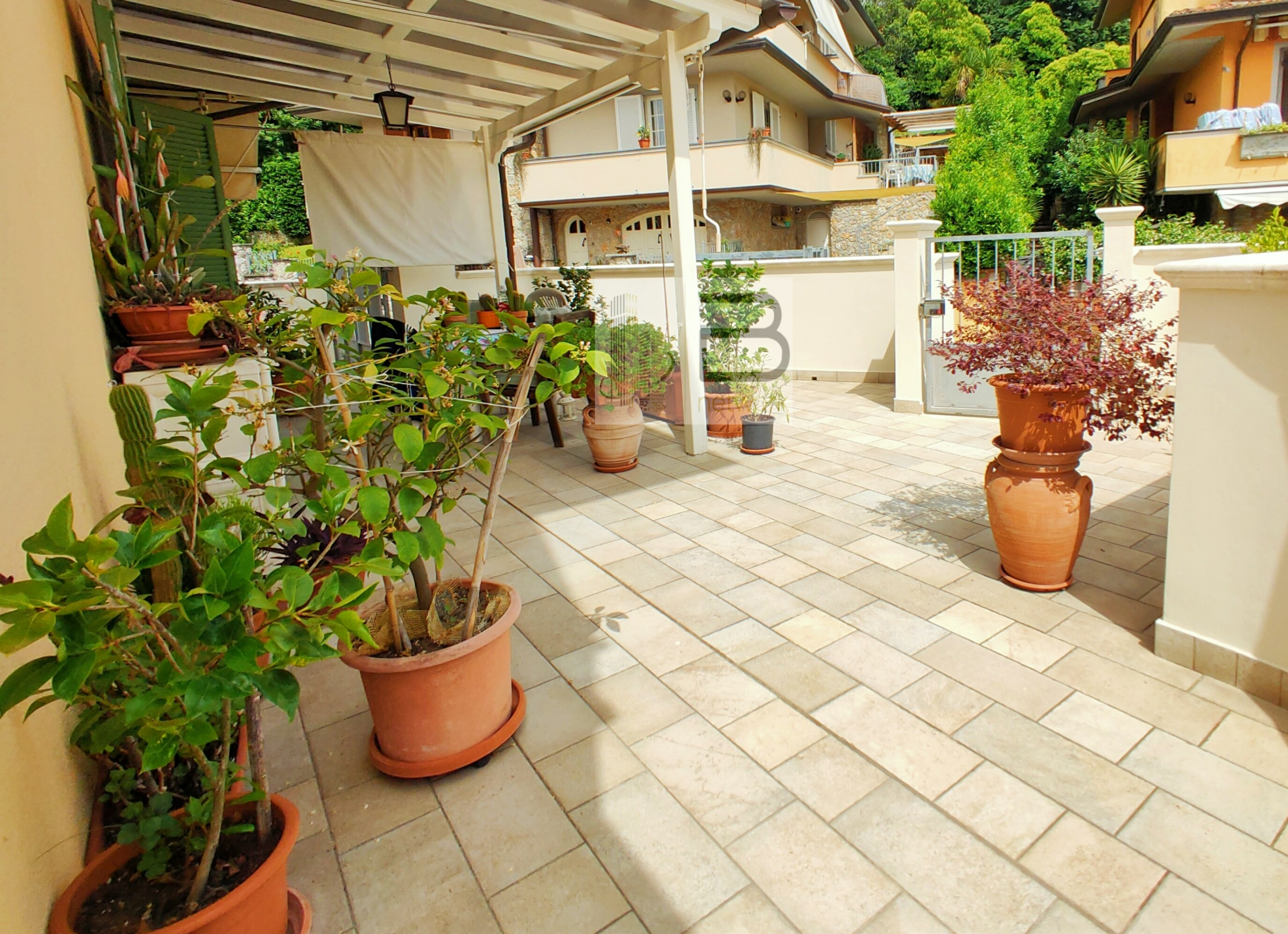 TERRAZZA