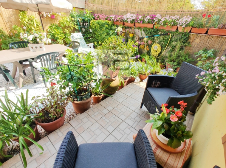 terrazza