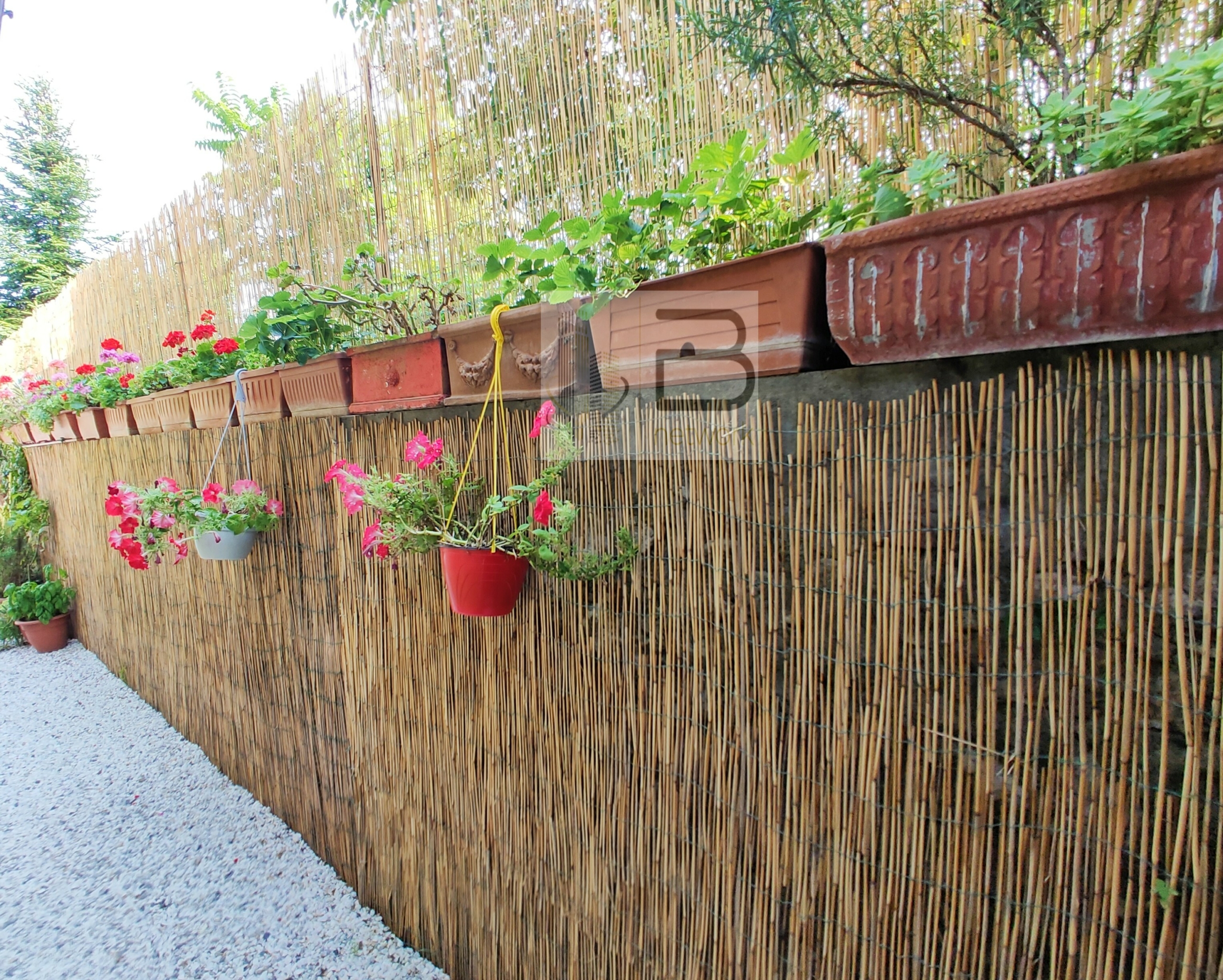 giardino