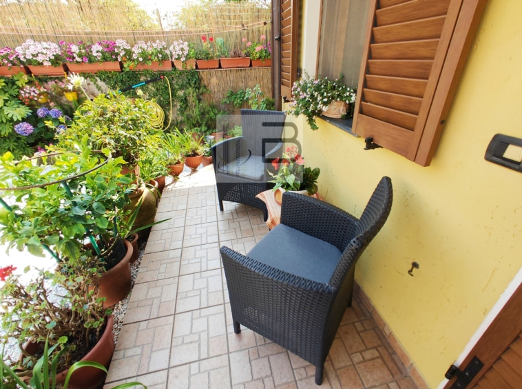 terrazza