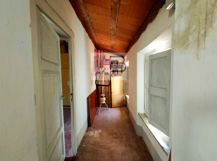 INGRESSO